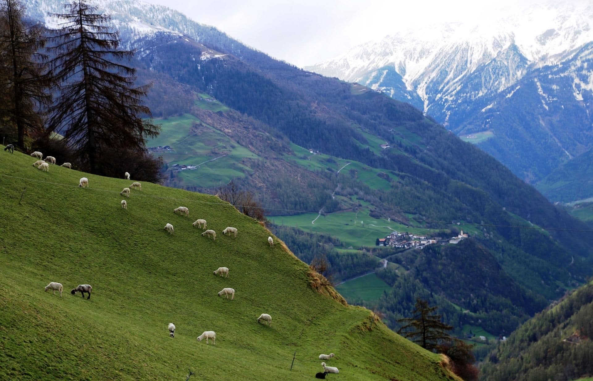 Adapting to climate change in the Italian Alps