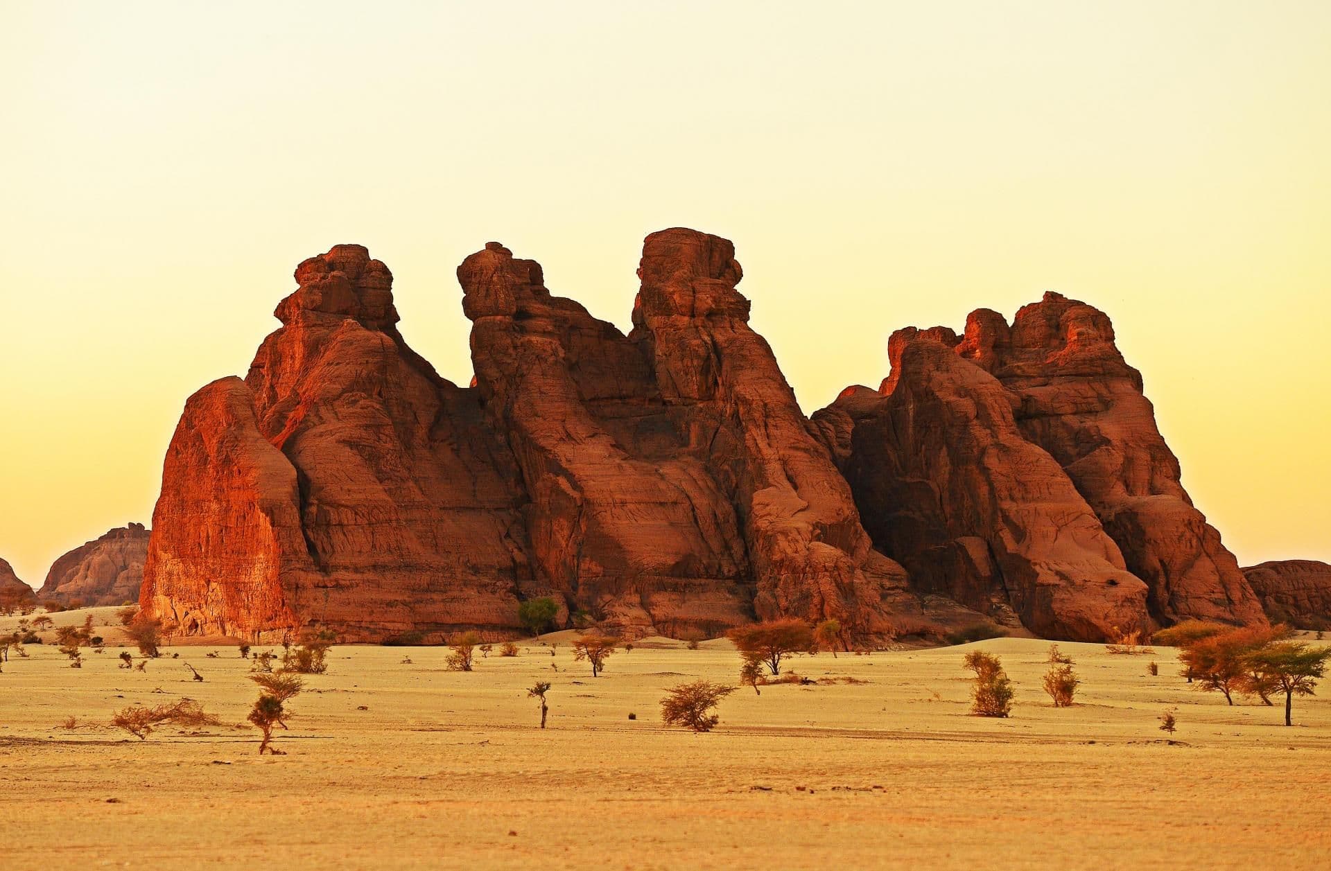 Making a living in the drylands of Chad