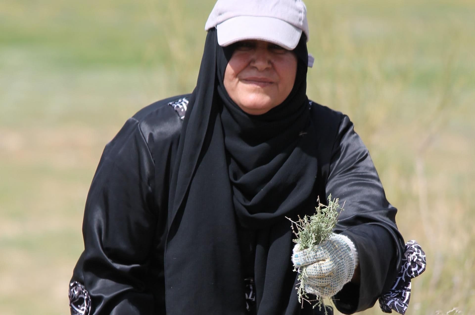 Reinstating the Hima in Bani Hashem, Jordan, to build resilience to climate change