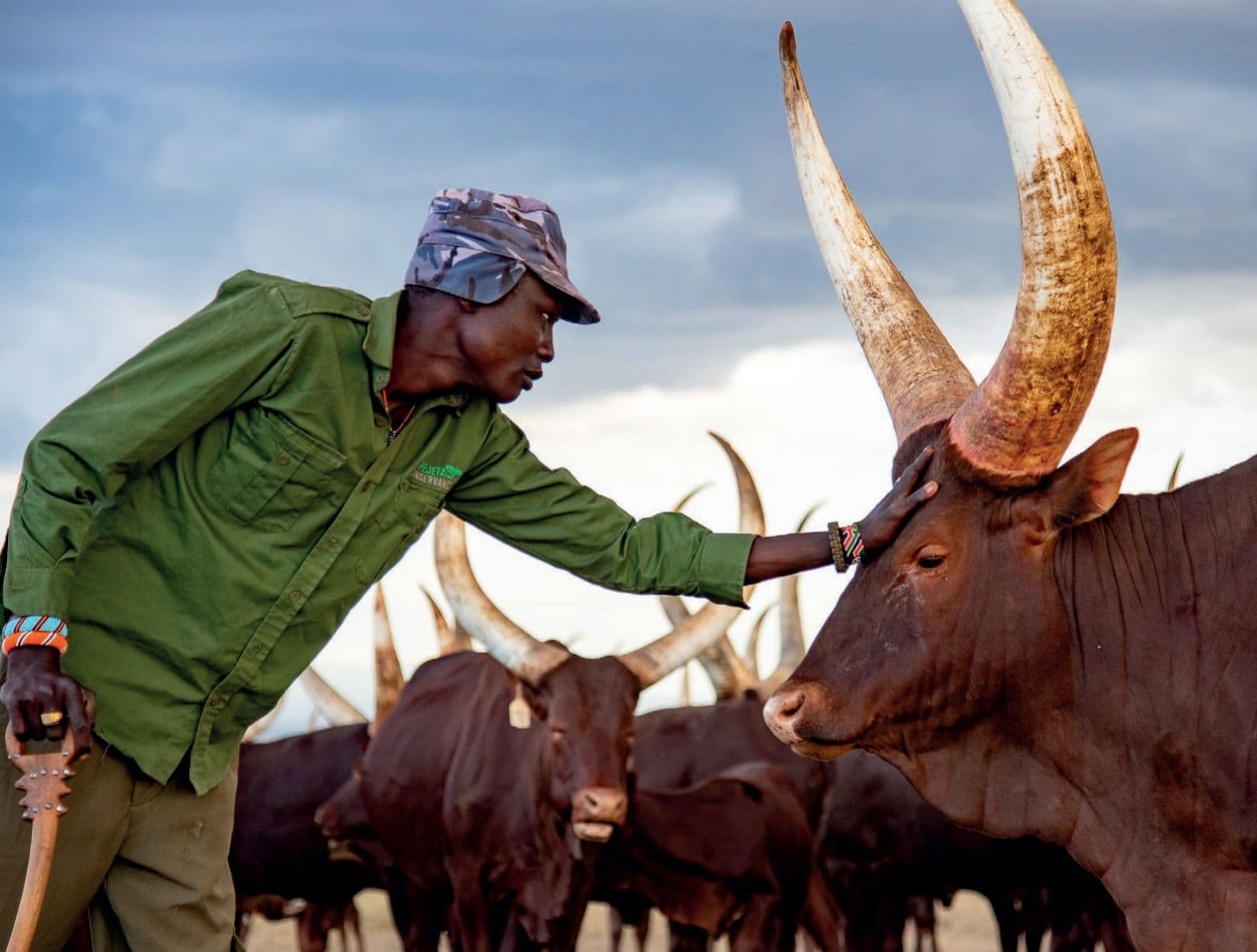 Ol Pejeta Conservancy, Kenya