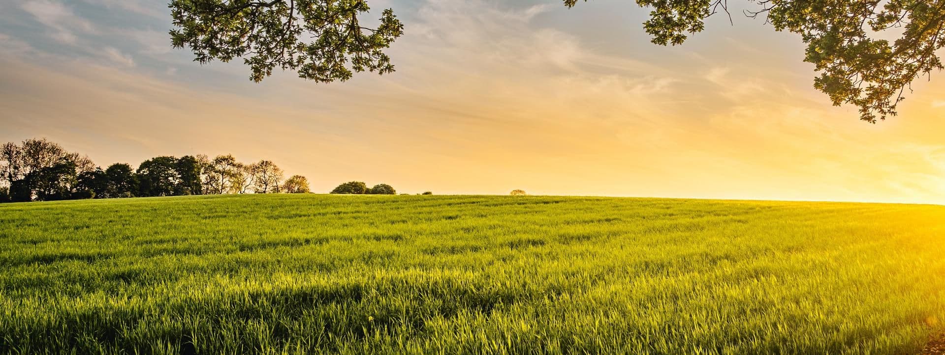 Keeping the grasslands of the northern great plains healthy